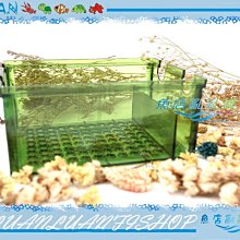 【~魚店亂亂賣~】LUANFISHOP上部環型雙雨淋滴流過濾槽擴充濾盒/便當盒-綠色(雙孔)多格槽