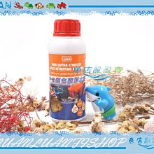 【魚店亂亂賣】EIKA伊卡-高效能硝化菌淨水劑300ml硝化活菌(快速培菌)