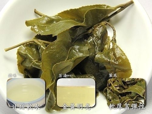 泰旺製茶廠】梨山茶。手採鮮嫩回甘。口齒留香批發價1300一斤/高山茶/台灣茶葉/大禹嶺茶/阿里山茶/冷泡茶/烏龍茶/清茶