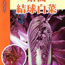 【野菜部屋~】G12 紫裔結球白菜種子1顆(買2送1) , 葉片柔嫩 , 適合生 , 晚抽苔 ,每包15元~