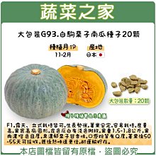 【蔬菜之家滿額免運00G93】大包裝.白駒栗子南瓜種子20顆(F1,露 天、立式栽培皆可)※不適用郵寄掛號※