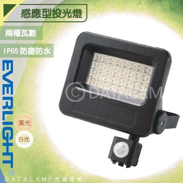 【阿倫燈具】億光EVERLIGHT  LED-30W感應型投光燈 ELFAP