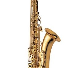 §唐川音樂§【YANAGISAWA T-WO10 Tenor Sax 日本柳澤 次中音薩克斯風】TWO10