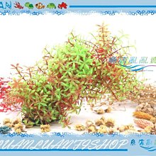 【~魚店亂亂賣~】造景飾品02021超逼真紅色小竹葉(假水草)軟枝材質可隨意更換想要的樣式(免CO2)