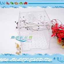 【~魚店亂亂賣~】LUANFISHOP高透明壓克力真空吸盤DIY飼育箱/產卵箱/繁殖箱10cm(缸內型)