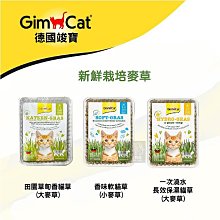 [一日限定] GimCat竣寶 新鮮栽培麥草