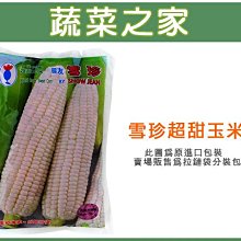 【蔬菜之家滿額免運】G85.雪珍超甜玉米(純白色牛奶玉米)種子20顆(果皮薄嫩,口感脆甜,有微微奶香.蔬菜種子)