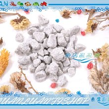 【~魚店亂亂賣~】德國EHEIM伊罕-石英石100g(原廠公司貨散裝)增加培菌過濾面積(石英球可參考)