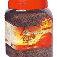 微笑的魚水族☆AZOO-愛族【血鸚鵡飆紅漢堡 1.1KG】小粒