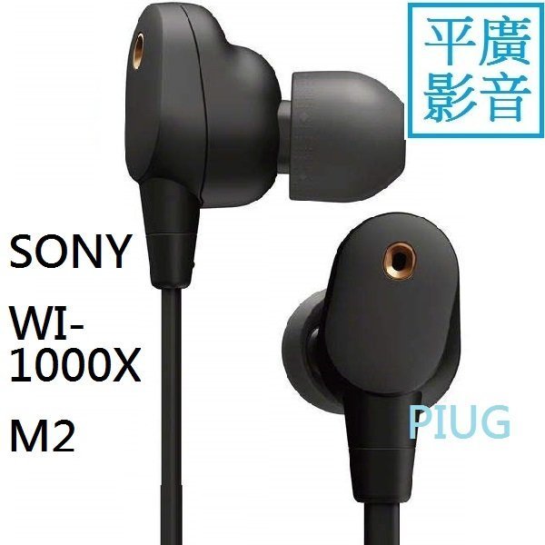 平廣 送袋台灣公司貨 SONY WI-1000XM2 黑色 藍芽耳機 另售 SOL 隨身聽MP3