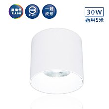 舞光 30W神盾筒燈 LED-CEA30D 高雄永興照明~