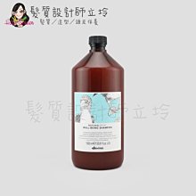 立坽『洗髮精』海泰公司貨 Davines特芬莉 新自然生機 樂活紫菊洗髮露1000ml IH01