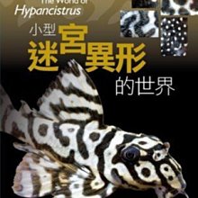 微笑的魚水族☆【小型迷宮異形的世界】【TMBIO威智出版社】【工具書】小型迷宮異型的世界