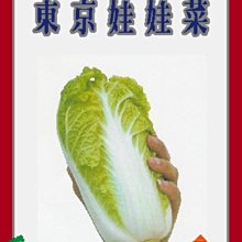 【野菜部屋~】G06 日本娃娃菜種子6公克(約1500粒) , 可愛又甜美 , 每包150元~