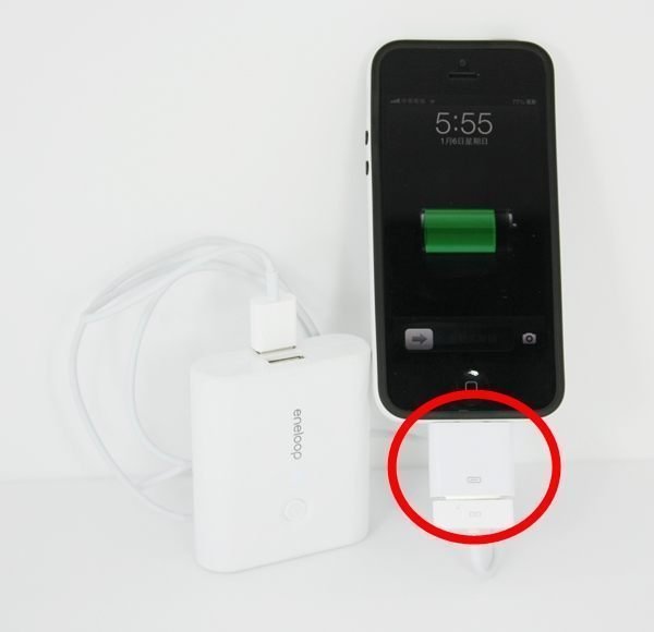 [巨蛋通] Apple lightning 轉接頭 Lightning 對 30 針轉接器 8pin轉30pin 8針轉30針iPhone5s用