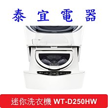 【泰宜電器】LG 樂金 WT-D250HW WiFi 迷你洗衣機 【可搭WD-S17VBD】