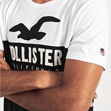 HCO 現貨 Hollister 車繡logo 大海鷗 短T 黑/白撞色