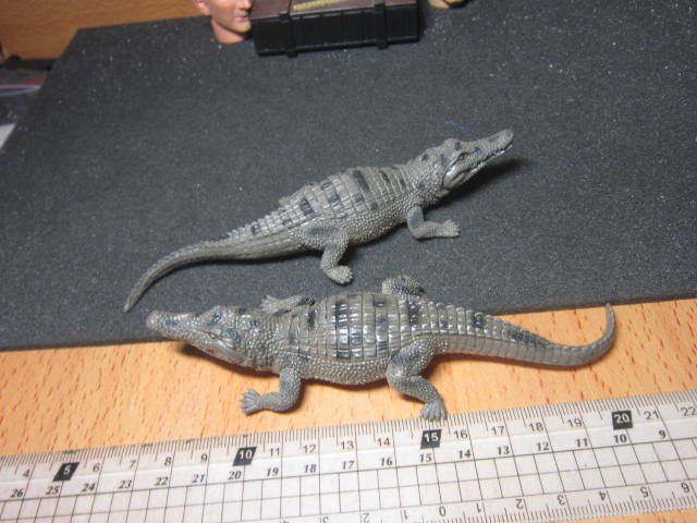 Z4動物部門 黑幫寵物1/6擬真鱷魚模型一隻