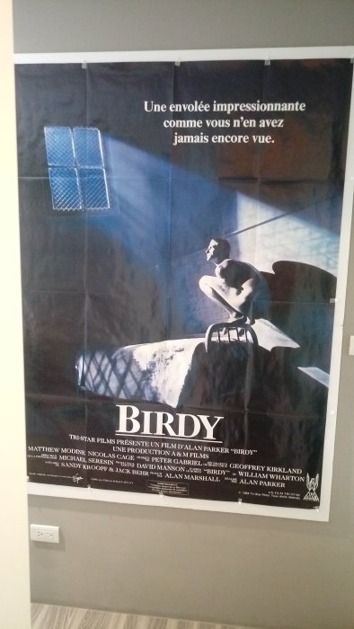 《絕版海報》鳥人 BIRDY   法大版電影海報