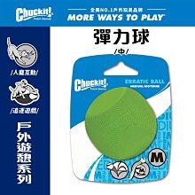 美國Petmate Chuckit 彈力球（中） DK-201101 可拋擲 球類玩具 可搭配發射器 狗玩具