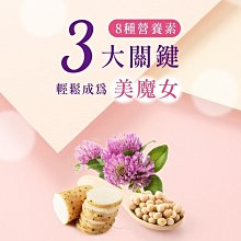 商品縮圖-8