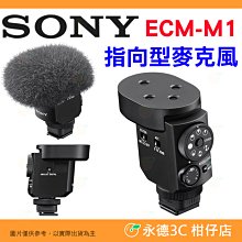 🔥 附防風毛罩 SONY ECM-M1 指向型麥克風 八種收音模式 MI智慧熱靴 小型輕巧 適用 Vlog 直播 訪問