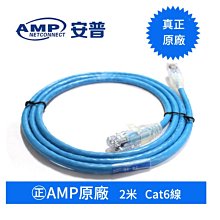 ㊣AMP 原廠Cat6 2M 非屏蔽網路線 Amp網路線 耐插拔5000次以上 AMP原廠接頭 24K鍍金接頭