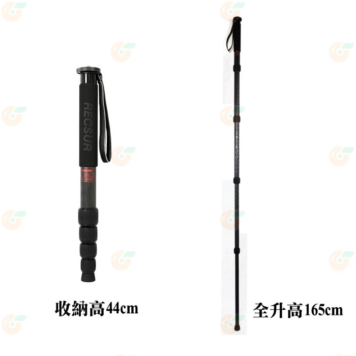 銳攝 RECSUR RL-3205A 鋁合金單腳架 公司貨 五節 高度156cm 載重16kg 重量0.56kg 支撐架