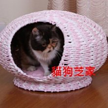 **貓狗芝家** 樣品展示品出清 美國Petpals．粉系紙編織貓窩睡窩 內舒適軟墊