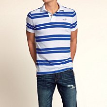 HOLLISTER POLO衫 321-364-0408-001  MY-麋鹿嚴選 官網真品 AF A&F HCO