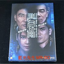 [DVD] - 黑白迷宮 Colour of the Game