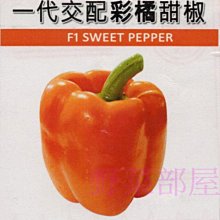 【野菜部屋~蔬菜種子】M11 彩橘甜椒種子 1公克 , 味甜品質好 , 果肉厚實 , 每包150元 ~