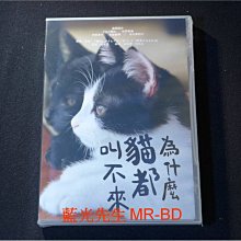 [DVD] - 為什麼貓都叫不來 Neko Nanka Yondemo Konai ( 台灣正版 )