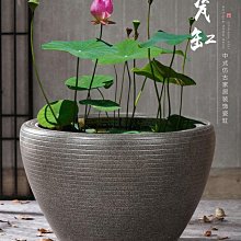 花盆 盆栽 水泥盆 花器 大花盆 水泥花盆花盆陶瓷缸古法養魚家用戶外庭院特大口徑盆景發財樹鐵樹專用花盆