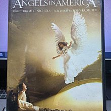 影音大批發-P01-176-正版DVD-影集【美國天使 全2碟】-套裝*美劇*梅莉史翠普(直購價)海報是影印