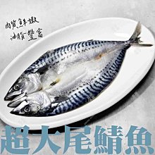 ㊣盅龐水產 ◇鯖魚剖半20P◇280g±20g/尾◇零$80元/尾 全場最低 歡迎團購