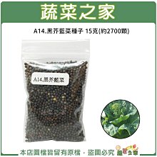 【蔬菜之家滿額免運】A14.黑芥藍菜種子15克(約2700顆)(大心芥藍.可採收葉片.芥藍菜花.梗等粗壯後採收.蔬菜種子