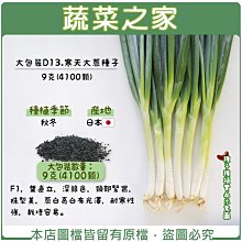 【蔬菜之家滿額免運00D13】大包裝.寒天大蔥種子9克(4100顆)(F1，葉直立，深綠色)※不適用郵寄掛號※