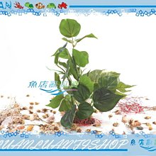 【~魚店亂亂賣~】造景飾品1230超逼真假水草(大榕)40*25*30cm質感超自然免CO2一樣翠綠