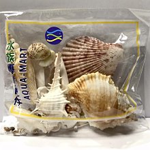 微笑的魚水族☆綜合貝殼飾品(1包)~ 海洋珊瑚礁貝殼