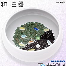 微笑的魚水族☆日本NISSO【日式觀賞陶瓷缽 / 和 白器】含光觸媒扁彩珠+底砂