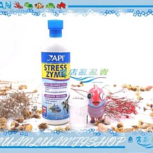 【魚店亂亂賣】API魚博士高效活性硝化益菌40ml(散裝)硝化菌(培菌速度快)美國STRESS ZYME