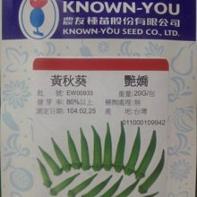 【野菜部屋~】K50 圓秋葵種子7粒 , 農友艷嬌品種 , 每包15元~