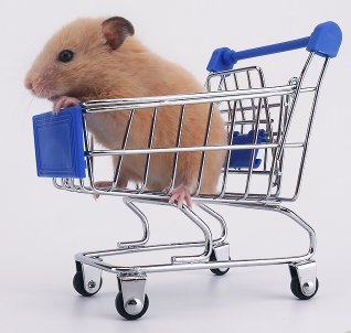 【阿肥寵物生活】寵物鼠用玩具﹧可愛推車-M