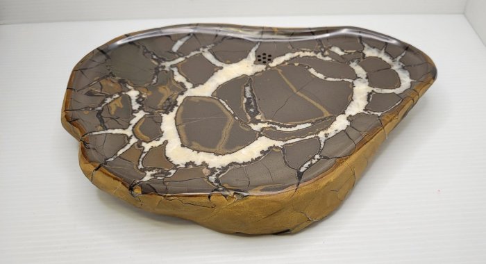 石在有趣～新石器時代/藏品級ㄟ金黃原皮龜甲石茶盤