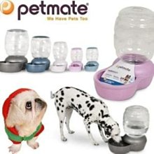 **貓狗大王**美國 Petmate《餵水器 (飲水器) 9.5公升》銀色/ 深藍色 (M號)