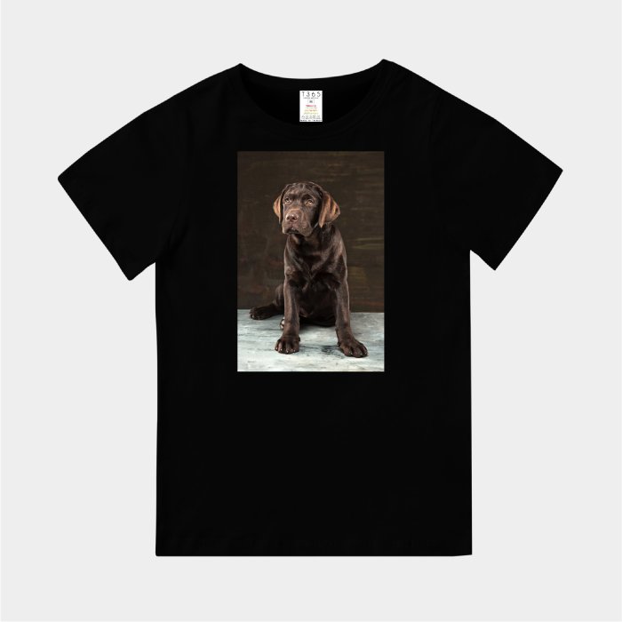 T365 MIT 親子 童裝 情侶 T恤 T-shirt 短T 狗 DOG 汪星人 大丹 大丹犬 Great Dane