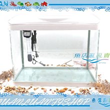 【魚店亂亂賣】UP雅柏時尚小彎角ㄇ型玻璃套缸48cm白色(含上蓋+上部過濾+LED燈具)台灣品牌