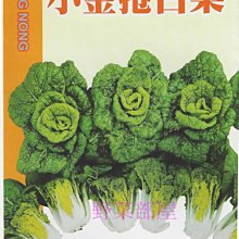 【野菜部屋】G09 小金捲白菜種子0.16公克 , 紮實、有份量 , 好種 , 每包15元 ~