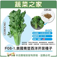 【蔬菜之家滿額免運】F06-1.美國青莖西洋芹菜種子0.8克(約2000顆) //株型粗壯，帶有光澤及亮度，葉柄寬闊肥厚